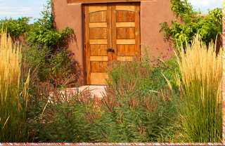 Wooden Door with Garden Plants
