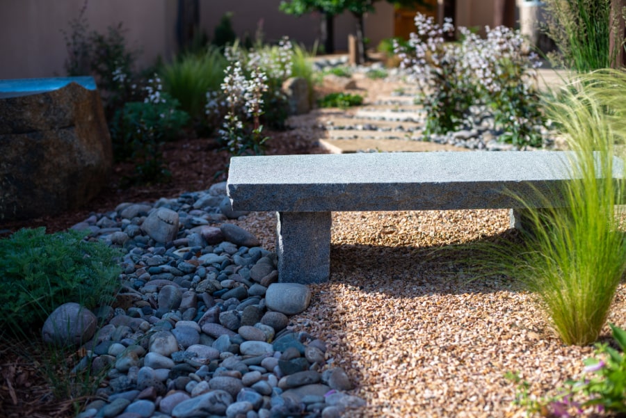 A garden with cacti and succulents​