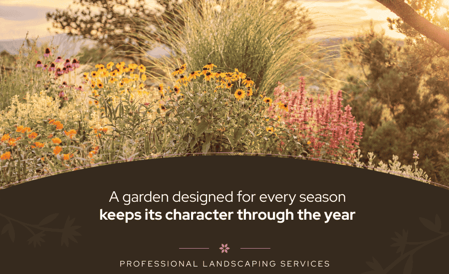 an open space with plants and flowers
