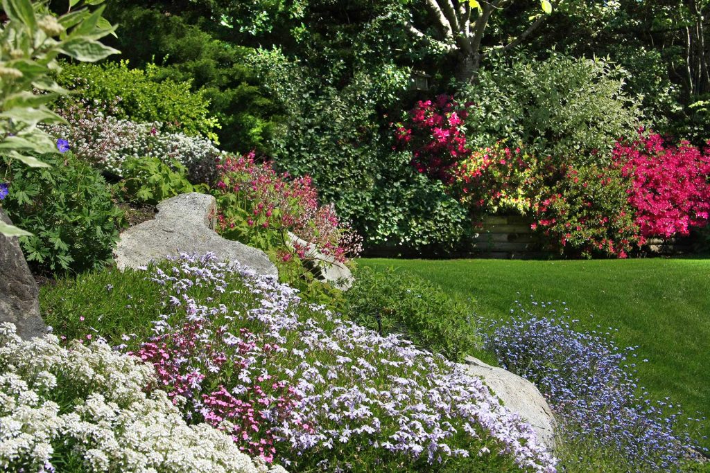 Santa Fe Landscaping Trends in 2025: Ideas & Practical Tips for Homeowners