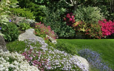 Santa Fe Landscaping Trends in 2024: Ideas & Practical Tips for Homeowners