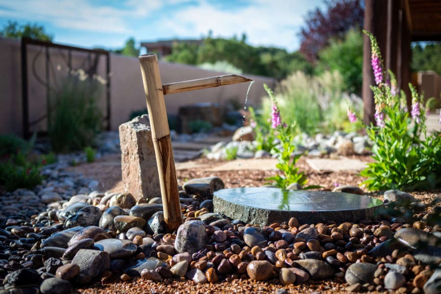 A beautiful garden with beautiful flowers and shrubs​