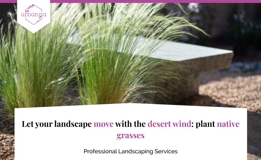 A custom image with native grass