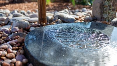 Drought-resistant plants in a Santa Fe outdoor space​
