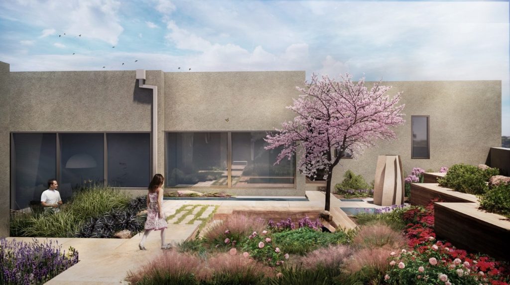 New Mexico Backyard Landscaping Ideas For Small & Large Spaces