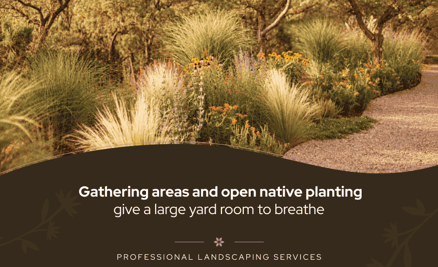 An open space with various plants