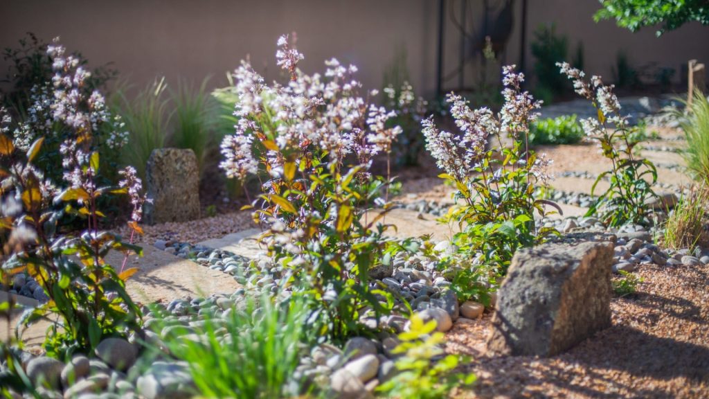 DIY Landscaping vs. Professional Services: Expert Insights on Managing Planting Times in Santa Fe