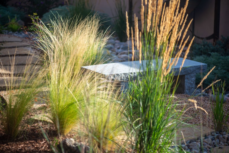 Native grass next to a stone bench​