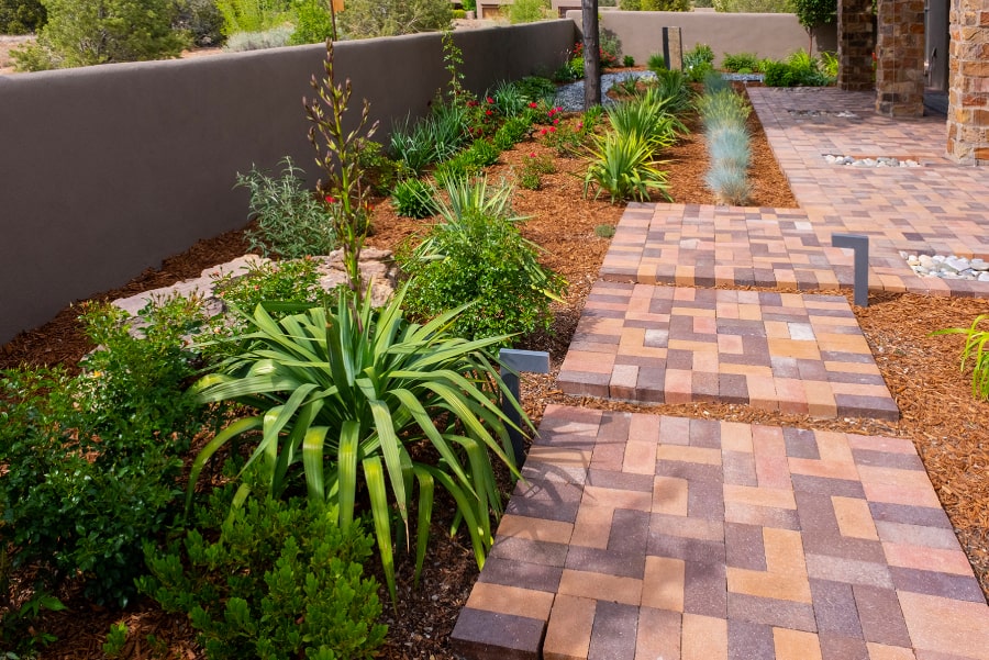 Stone pathways among green bushes​