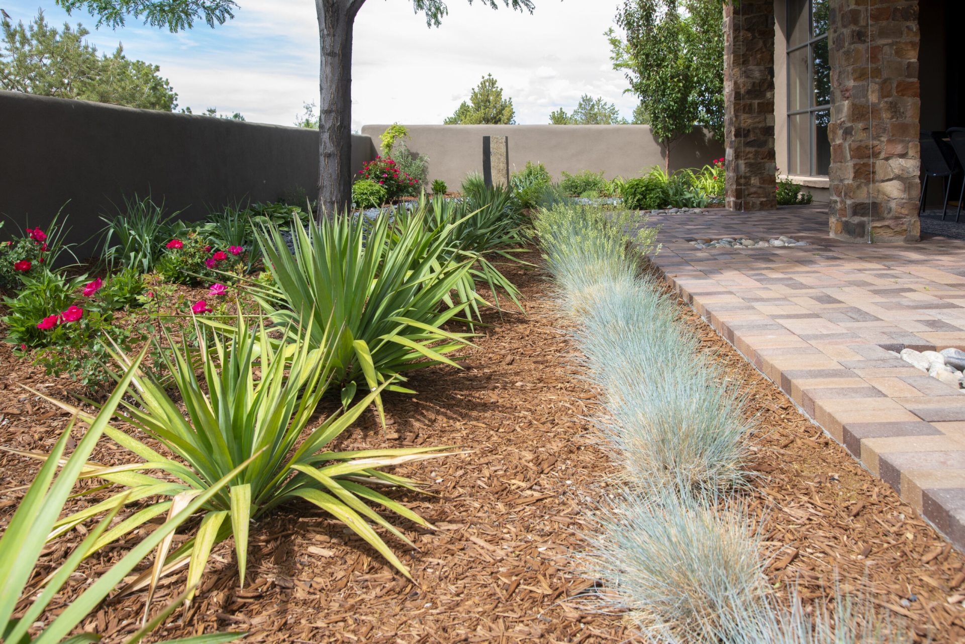 A front yard with succulents and decorative grass