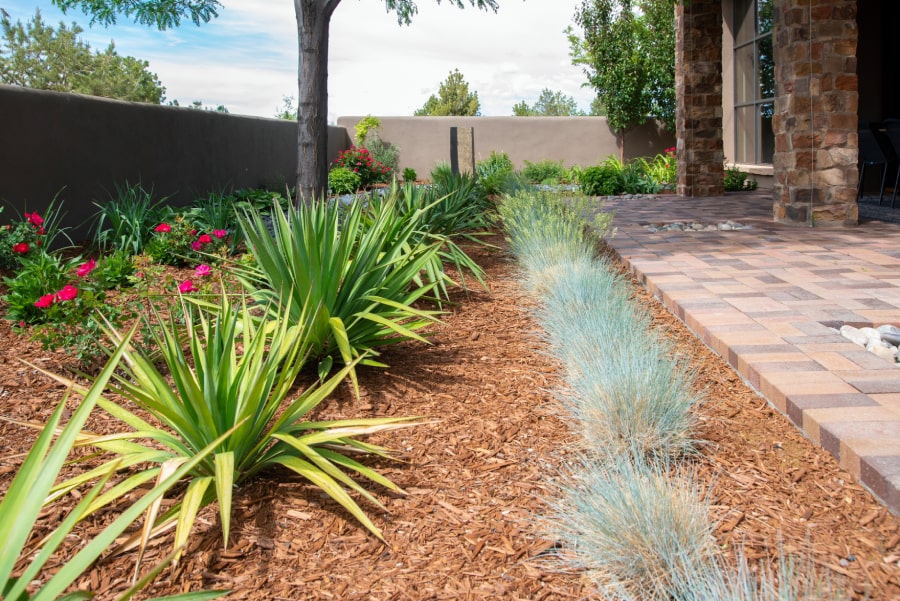 A front yard with succulents and decorative grass​