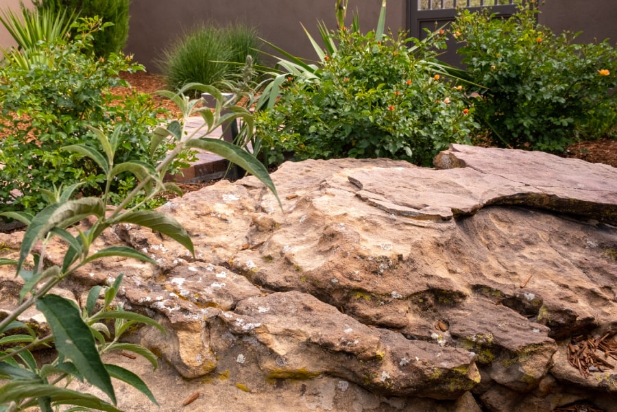 A landscaping design with natural stones and native plants