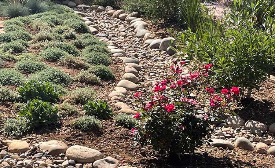 A river rock bed with plants surrounding it