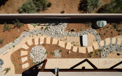 Dry Landscape Ideas, Plant Types & Tips for Santa Fe’s Climate