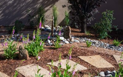 Modern Landscape Design Explained: Goals, Ideas, and Foliage Options